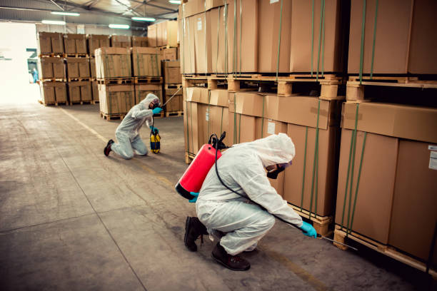 Wildlife Control Services in Springfield, MI