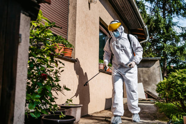 Best Best Pest Control Companies  in Springfield, MI