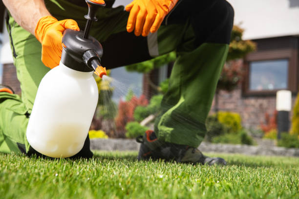 Best Pest Inspection Near Me  in Springfield, MI