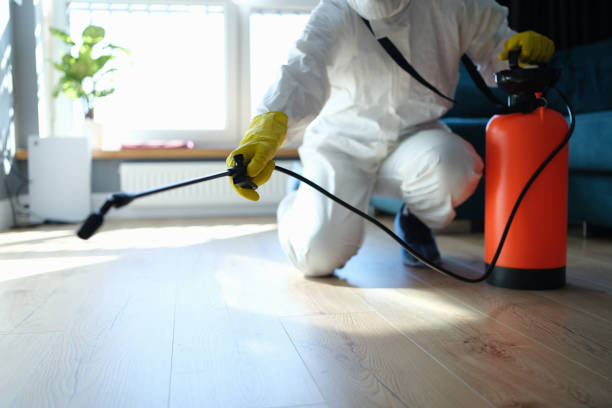 Best Affordable Pest Control Services  in Springfield, MI