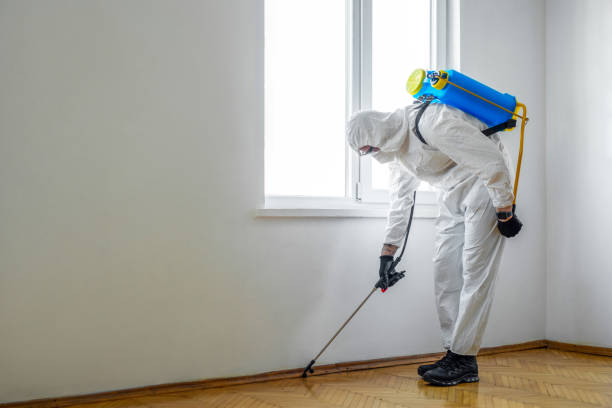 Professional Pest Control in Springfield, MI