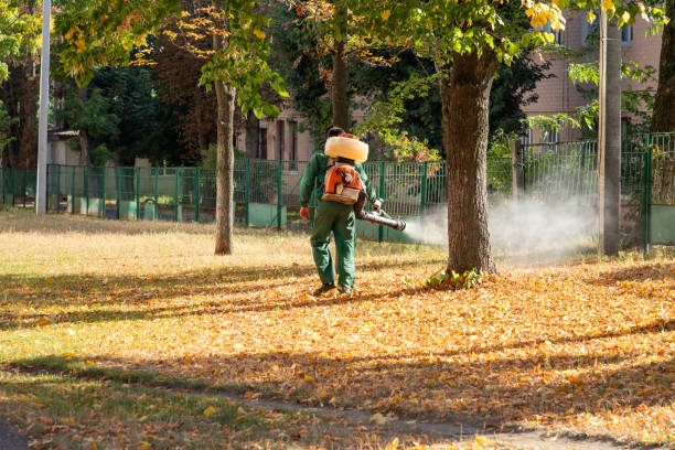 Best Rat Extermination Near Me  in Springfield, MI