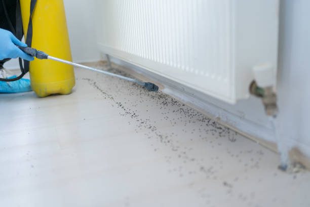 Best Mosquito Control Services  in Springfield, MI