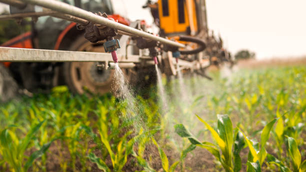 Best Insect Control  in Springfield, MI